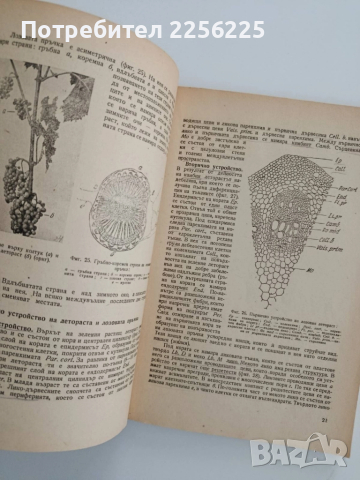 "Ръководство за практически занимания по лозарство 1964г", снимка 3 - Специализирана литература - 52295562