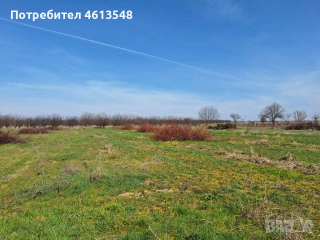 Продавам земеделски имот в с. Браниполе, община Родопи област Пловдив, снимка 2 - Земеделска земя - 51944278