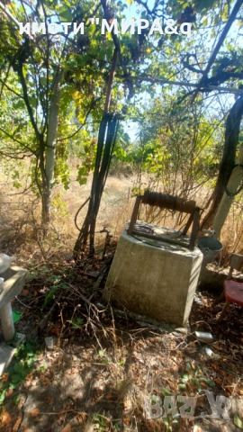 Къща/вила с двор с. Брястово, обл. Хасково, снимка 18 - Къщи - 51688091