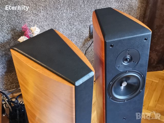 Sonus Faber Concerto DOMUS, снимка 8 - Тонколони - 45976477