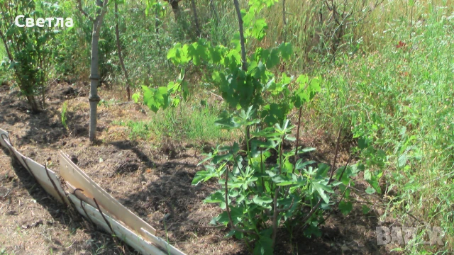 Продавам парцел, снимка 15 - Парцели - 36681352