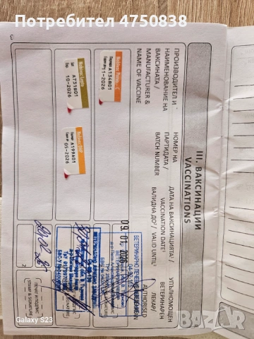 Продавам кане корсо на 3 месеца има ваксини ще напусна бг и за това го продавам, снимка 6 - Кане корсо - 53655236