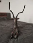Бронзова фигура на елен, снимка 3
