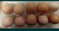 Домашни яйца от Елинпелинският край., снимка 1