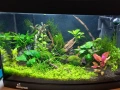Аквариум Diversa + всичко необходимо, снимка 1
