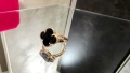 Van Cleef & Arpels VCA Rose Gold Black Onyx Vintage Alhambra Дамски Пръстен, снимка 3