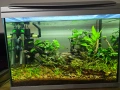 Продавам 60 литра аквариум, снимка 1