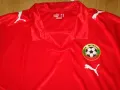 Футболна Тениска на България Пума Bulgaria Player Issue Puma Football Shirt 2008-2010, снимка 3