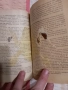 Наръчник по пчеларство, снимка 2