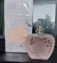 Дамски парфюм "Amore Mio" by Jeanne Arthes / 100ml EDP , снимка 1