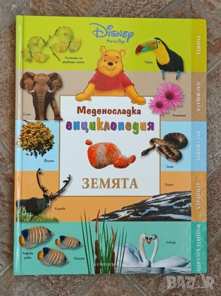 Медено сладка енциклопедия за земята и животните в нея., снимка 1