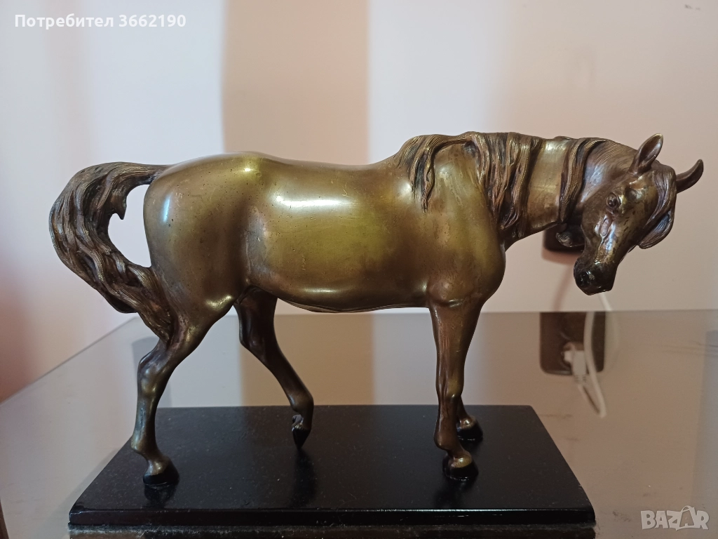 Бронзов кон, снимка 1
