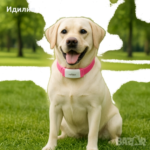 Тракер за домашен любимец - GPS локатор