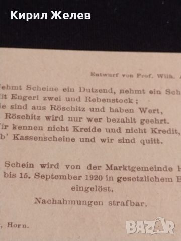 Банкнота НОТГЕЛД 20 хелер 1920г. Австрия перфектно състояние за КОЛЕКЦИОНЕРИ 44658, снимка 6 - Нумизматика и бонистика - 45234200