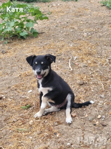 Подарявам, снимка 1