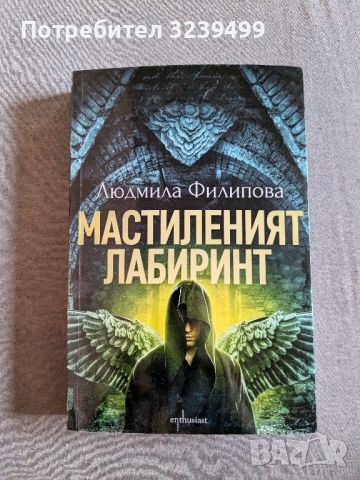 "Мастиленият лабиринт" - Людмила Филипова , снимка 1 - Художествена литература - 46696816