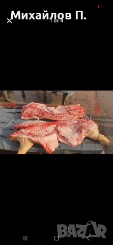 Прясно свинско и телешко месо, снимка 5 - Прасета - 52546575