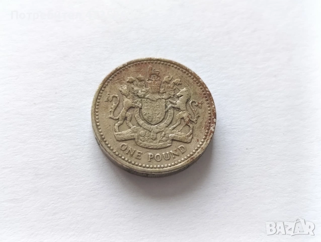 Монета 1 паунд 1983 рядка , снимка 3 - Нумизматика и бонистика - 53454184