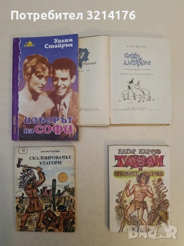 Изборът на Софи. Книга 2 - Уилям Стайрън