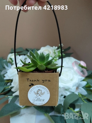 Сукуленти за подаръчета , снимка 3 - Декорация - 51579009