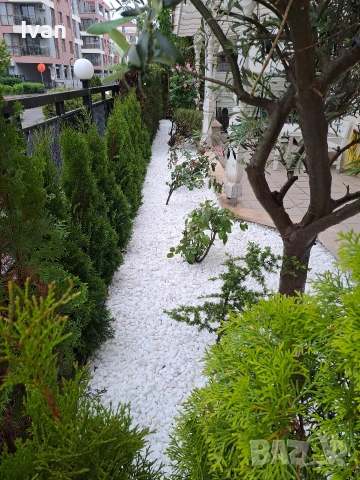 Косене  Аериране пръскане  Градинарски услуги косене аериране на тревни площи поливни системи , снимка 14 - Други услуги - 53255296