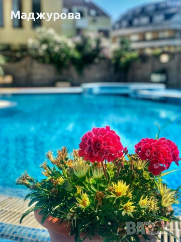 Хотел под наем