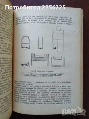 Практическо ръководство по анатомия и морфология на растенията , снимка 4 - Специализирана литература - 50427519