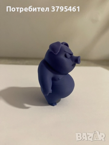 Прасенца-да се помни в каква държава сме живяли, снимка 5 - Други - 52663572