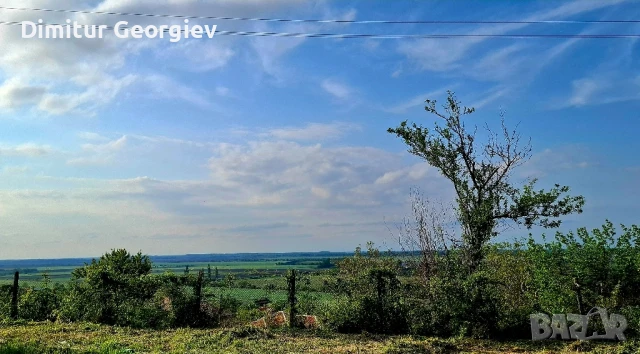 парцел с гараж 810 кв.м, снимка 3 - Парцели - 50960281