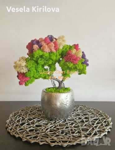 Дърво Бонзай със Скандинавски мъх в сребърна керамична кашпа, снимка 3 - Декорация за дома - 45078544