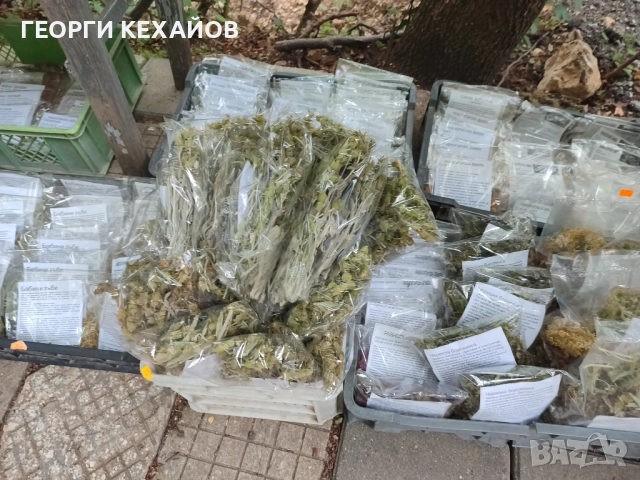 равногорски билки, подправки,сладка, снимка 13 - Домашни продукти - 52010210