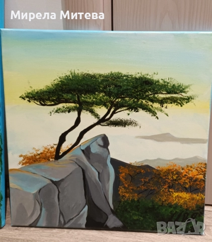 Продавам картина , снимка 2 - Картини - 52422083