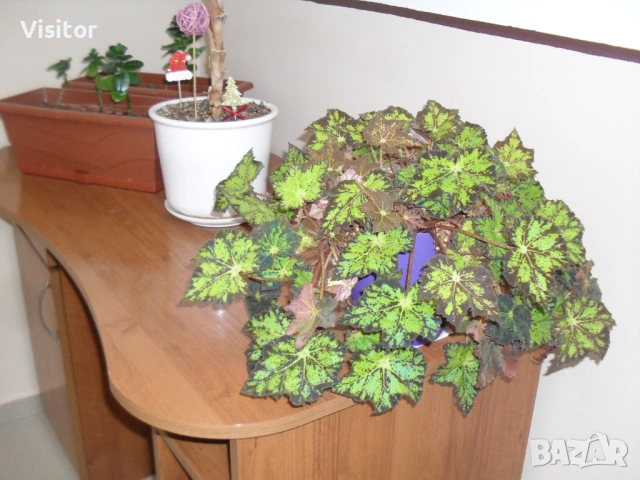 фотоапарат SAMSUNG ES10   8.1 MpX, снимка 17 - Фотоапарати - 53355015