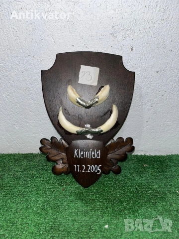 Глиги - зъби от диво прасе , снимка 6 - Други - 54240588