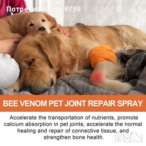 Пчелен екстракт за облекчаване на болки в ставите (001), снимка 5 - Други стоки за животни - 45824680