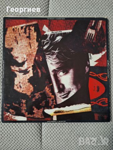 Грамофонни плочи-албуми на Rod Stewart, снимка 2 - Грамофонни плочи - 45434301