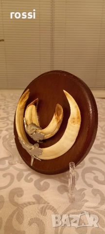 Красиви немски трофеи диво прасе, документ, трофей, снимка 11 - Колекции - 44200959