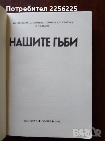 Нашите гъби, снимка 7 - Специализирана литература - 50161207