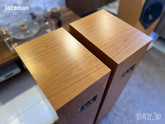 Chario Syntar 200 Tower – Италиански Hi-Fi подови тонколони, снимка 11 - Тонколони - 53797555