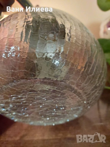 Кана, снимка 11 - Кани - 53971429