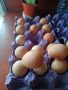 яйца от Токачка , снимка 4