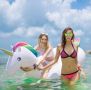 Плувайте с комфорт и стил с нашите надуваеми шезлонги-Фламинго, Еднорог или Лебед, снимка 1 - Басейни и аксесоари - 45625713
