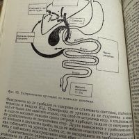 Функционална диагностика на вътрешните болести, снимка 9 - Специализирана литература - 45286478