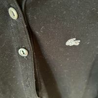 Поло шърт Lacoste, М, 100% памук, дълъг ръкав, снимка 2 - Блузи с дълъг ръкав и пуловери - 45384895