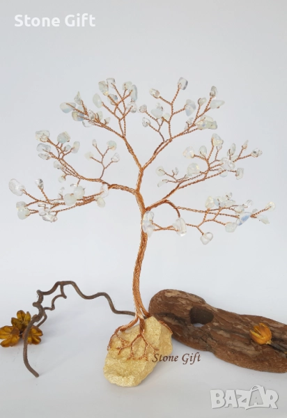 Дръвче Лунен Камък Едър , снимка 1