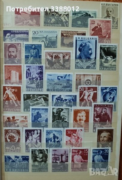 Класьор с марки България 1949/60 г., снимка 1