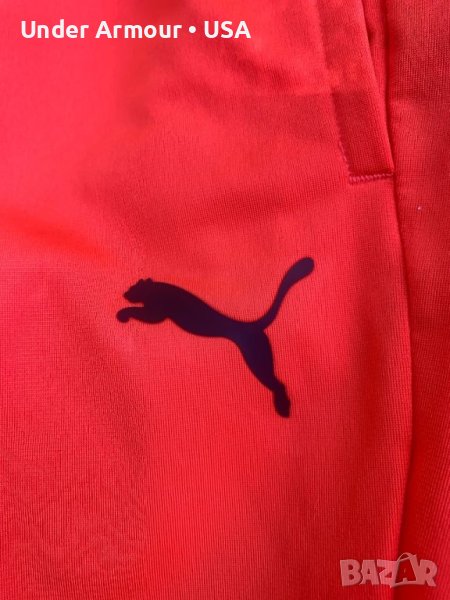 Puma, снимка 1