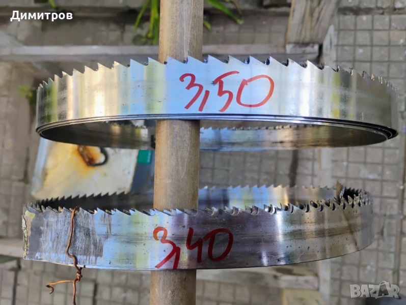 Банцигова лента, снимка 1