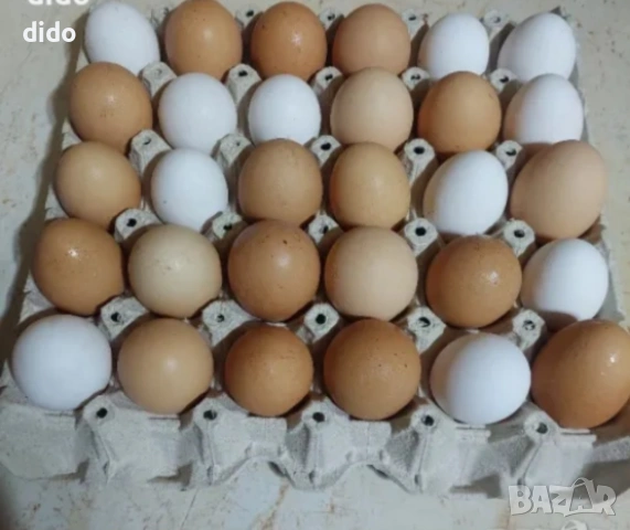 Продавам домашни яйца от свободно отглеждани кокошки , снимка 4 - Домашни продукти - 54181084