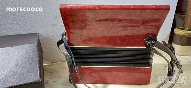 Руски детски акордеон ,,Мальиш "- 16 баса, снимка 3 - Акордеони - 52868242